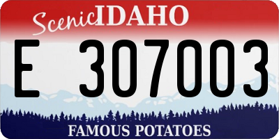 ID license plate E307003