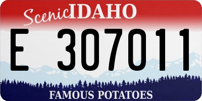 ID license plate E307011