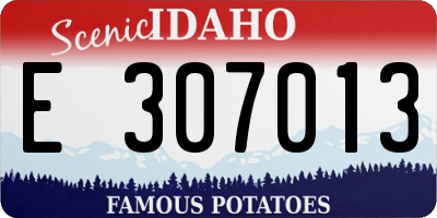 ID license plate E307013