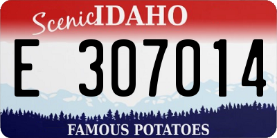 ID license plate E307014