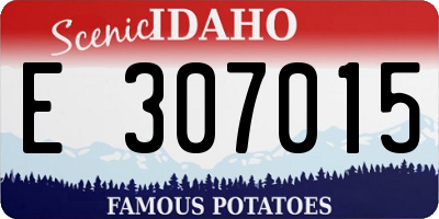 ID license plate E307015