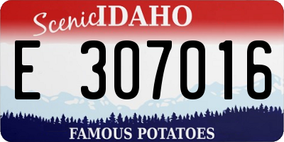 ID license plate E307016