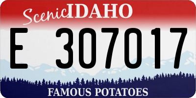 ID license plate E307017