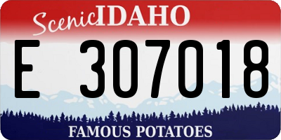 ID license plate E307018