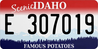 ID license plate E307019