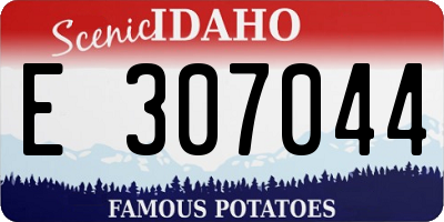 ID license plate E307044