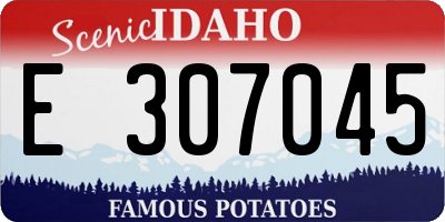 ID license plate E307045