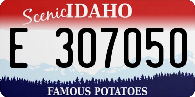 ID license plate E307050