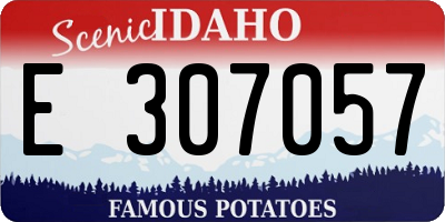 ID license plate E307057