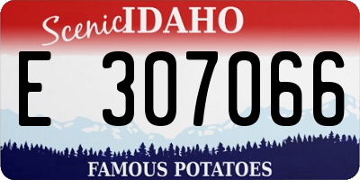 ID license plate E307066