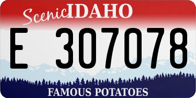 ID license plate E307078