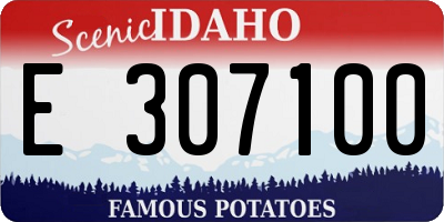 ID license plate E307100