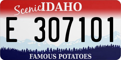 ID license plate E307101