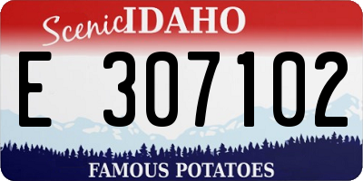 ID license plate E307102