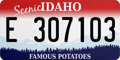 ID license plate E307103