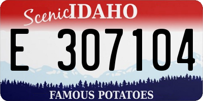 ID license plate E307104