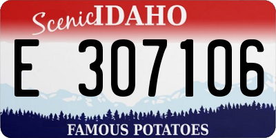 ID license plate E307106