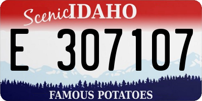 ID license plate E307107