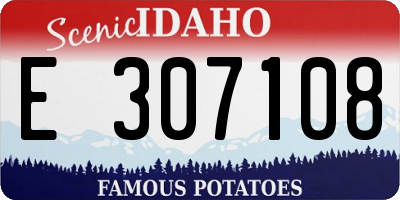 ID license plate E307108