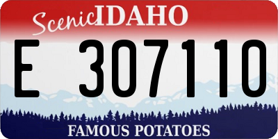 ID license plate E307110