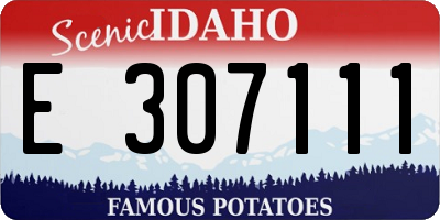 ID license plate E307111