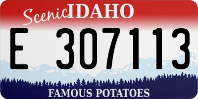 ID license plate E307113