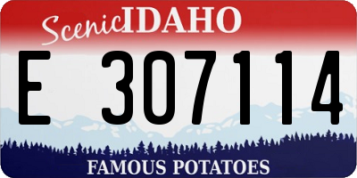 ID license plate E307114