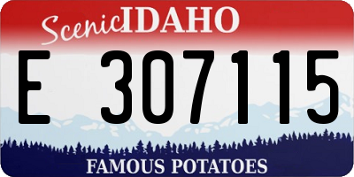 ID license plate E307115