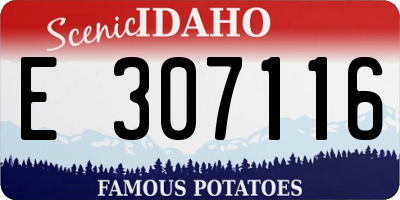 ID license plate E307116