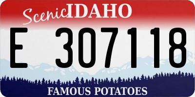 ID license plate E307118
