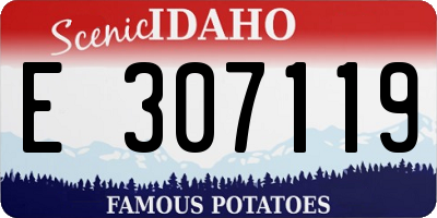 ID license plate E307119