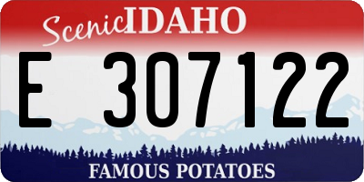 ID license plate E307122