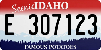 ID license plate E307123