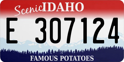 ID license plate E307124