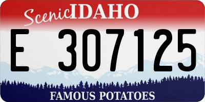 ID license plate E307125
