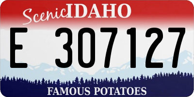 ID license plate E307127