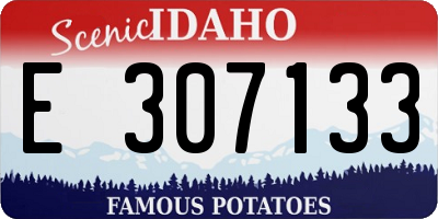 ID license plate E307133