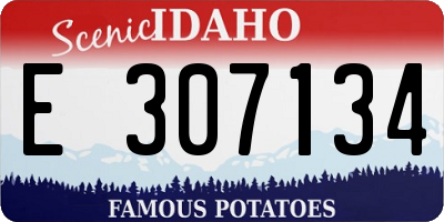 ID license plate E307134