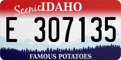 ID license plate E307135