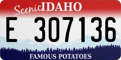 ID license plate E307136