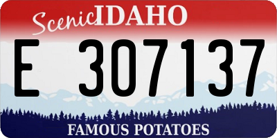 ID license plate E307137