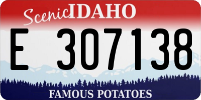 ID license plate E307138
