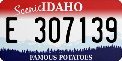 ID license plate E307139