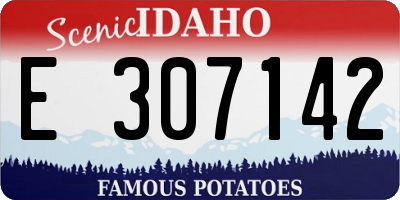 ID license plate E307142