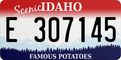 ID license plate E307145