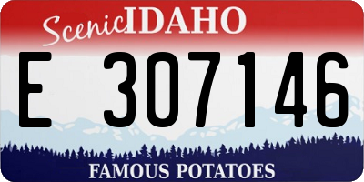 ID license plate E307146