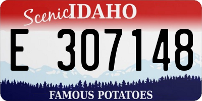 ID license plate E307148