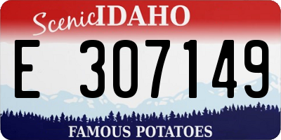 ID license plate E307149