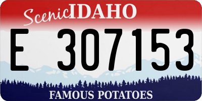 ID license plate E307153