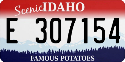 ID license plate E307154